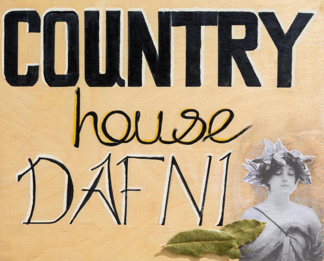 Country House Dafni Vasilikí Eksteriør billede